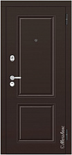 Металлическая дверь М493 Е5