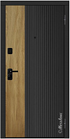 Металлическая дверь М652